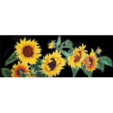  6" X 16" Sunflower with Black Background Horizontal