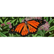  6" X 16" Monarch Butterfly
