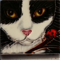 3"X3" MAGNET Black And White Cat
