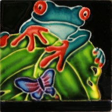 3"X3" MAGNET Blue Red Eyed Tree Frog