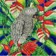 8"x8" Gray Parrot