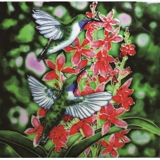 8"x8" Black Chinned Hummingbirds With Orchids