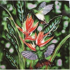 8"x8" Buff Bellied Hummingbirds And Red Christmas Heliconia