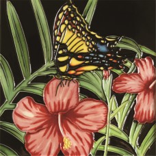 8"x8" Butterfly & Pink Hibiscus