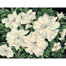 11"x14" White Flowers