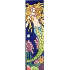 2x8.5 N-CFM   Mermaid 