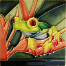 3"X3" MAGNET Green Tree Frog