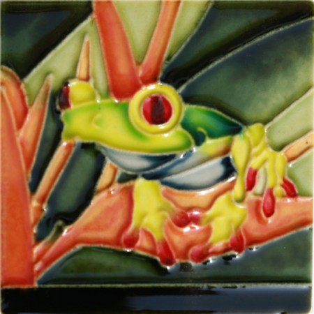 3"X3" MAGNET Blue Red Eyed Tree Frog