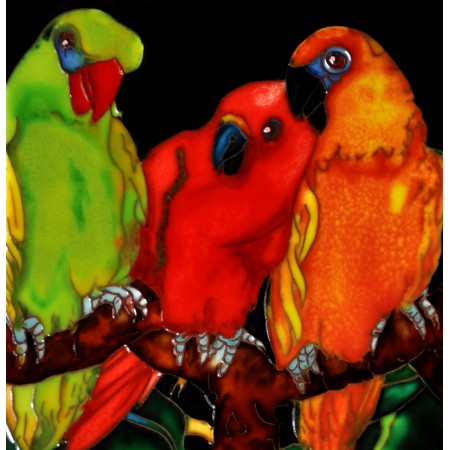 8"x8" Four Parrots