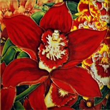 8"x8" Red Orchids