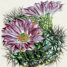 6"x6" Purple Flower Cactus