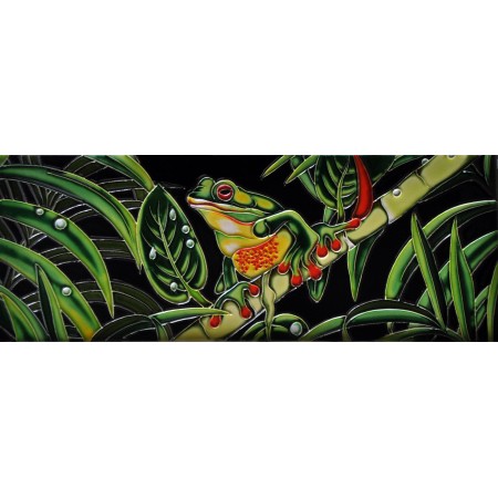  6" X 16" Red Eyed Tree Frog